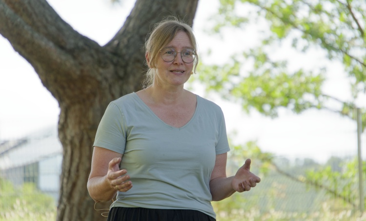 Storysommer  "Geschichten vom Wasser"